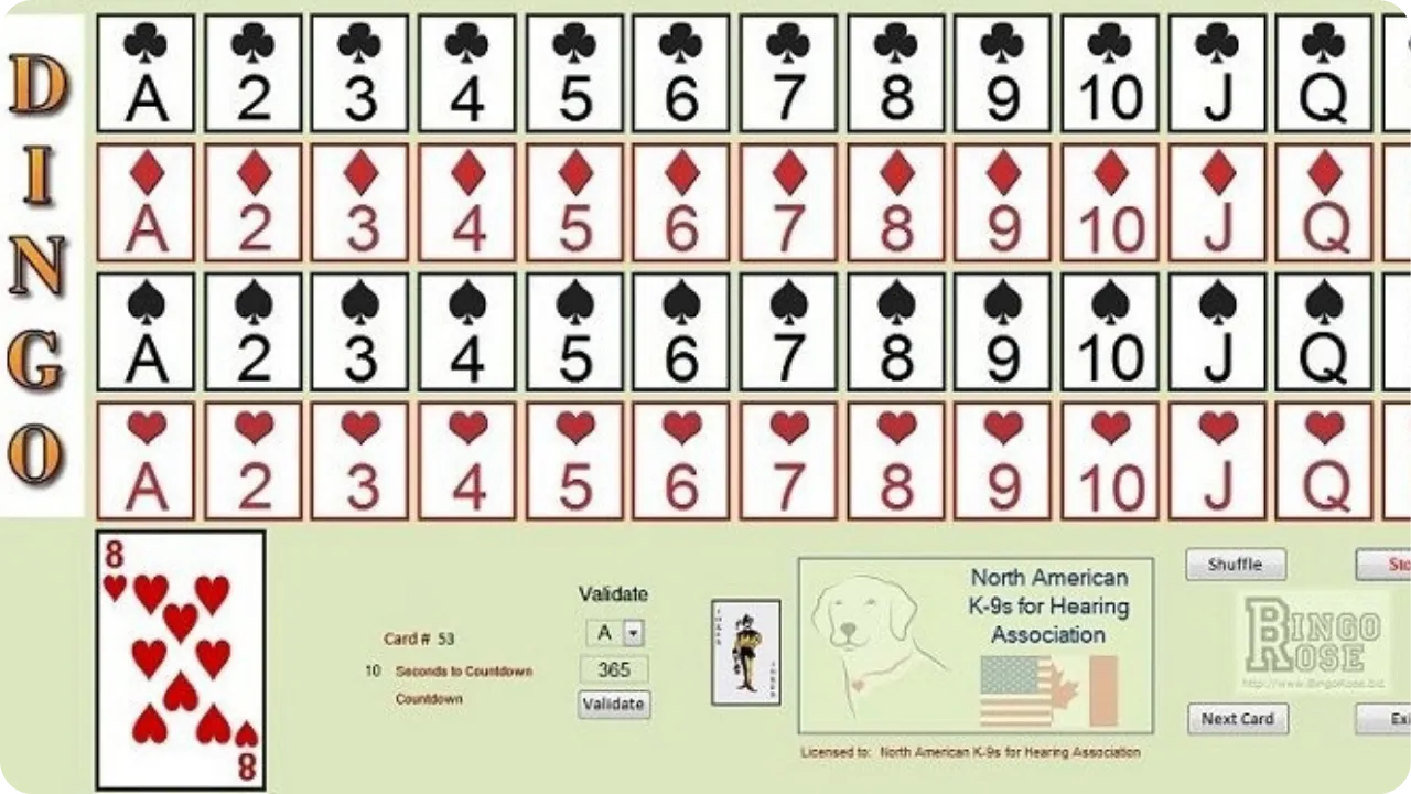 Older version of DINGO from Bingo Rose showing outdated Windows interface