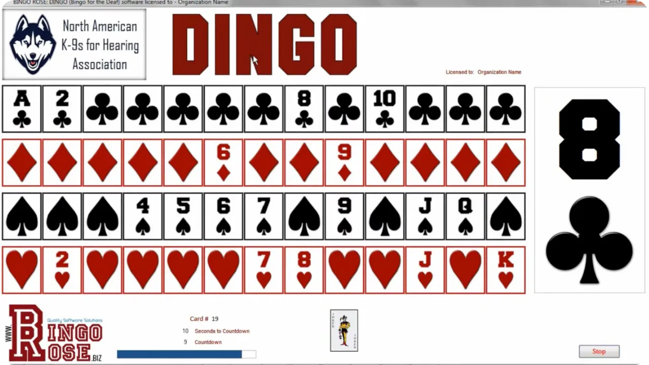 The DINGO app from Bingo Rose with complex interface