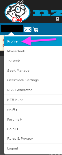 NZBGeek API key location in account profile
