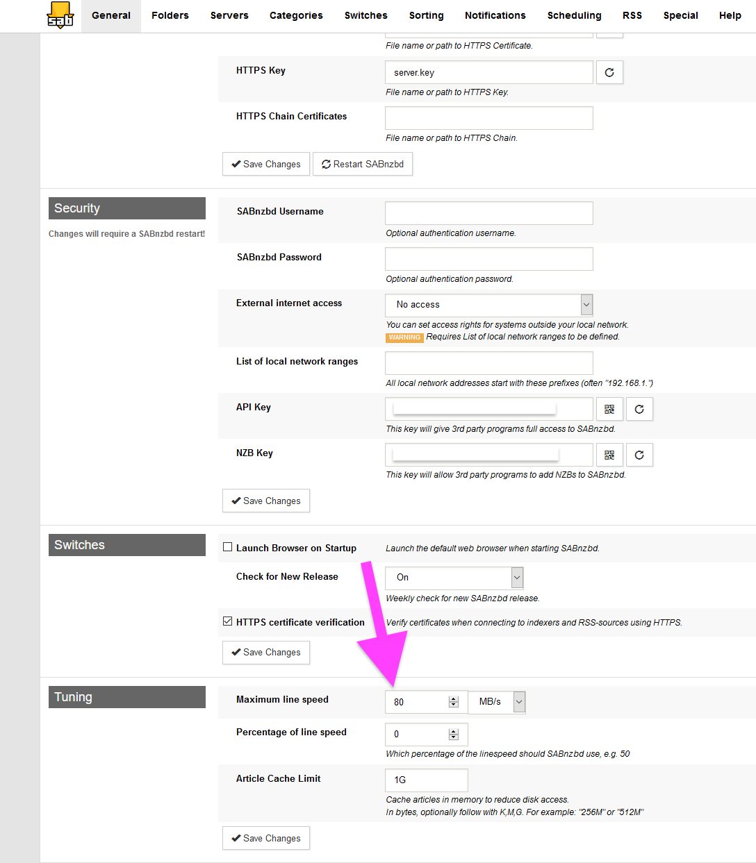 Sabnzbd tuning configuration screen