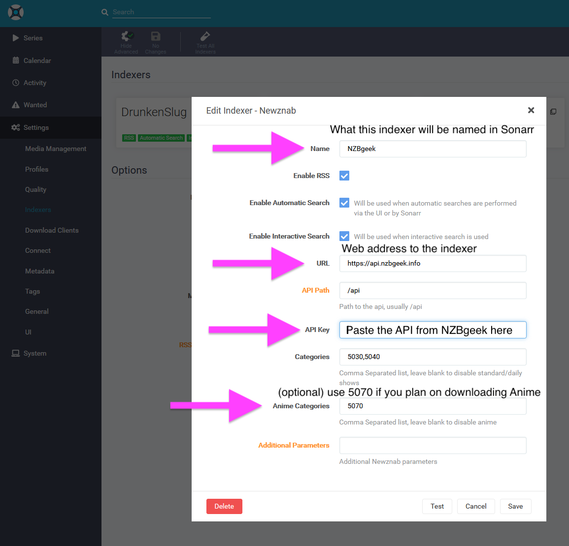Sonarr Newznab configuration